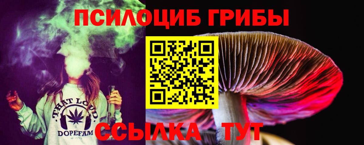 Галлюциногенные грибы Cubensis Мирный